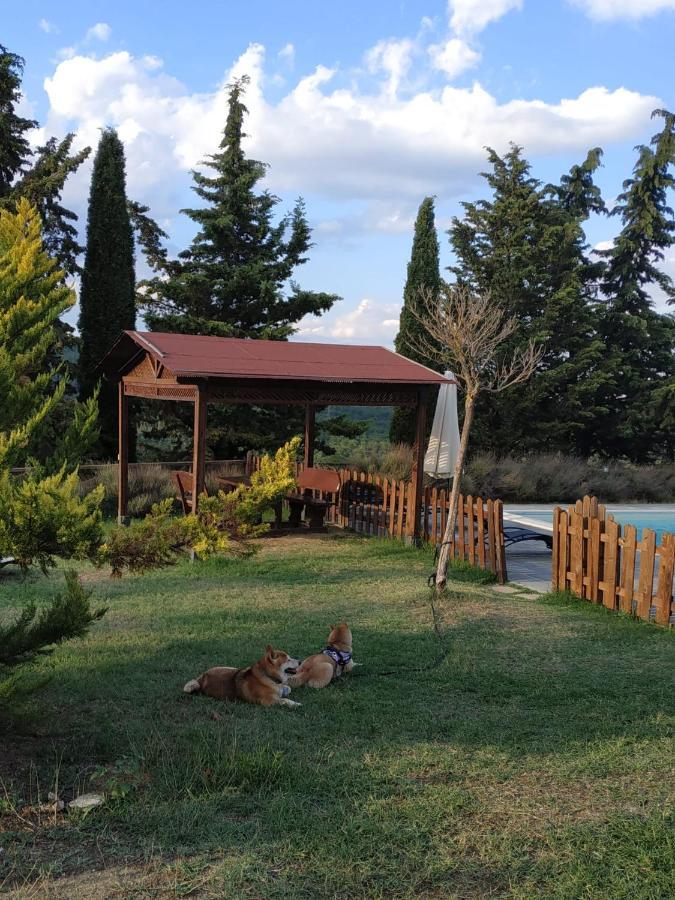 Agriturismo La Provenca Chianciano Terme Exterior foto